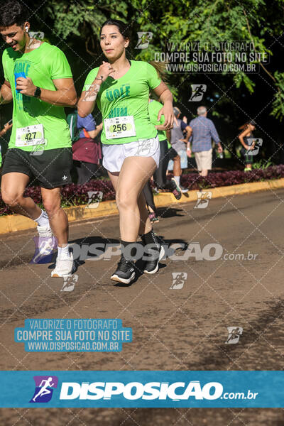 Vale Verde Run 2024