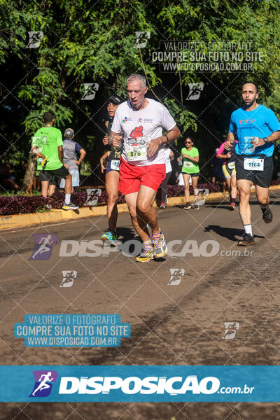 Vale Verde Run 2024