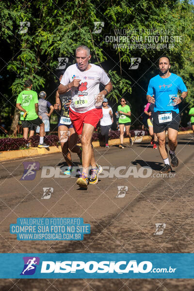 Vale Verde Run 2024