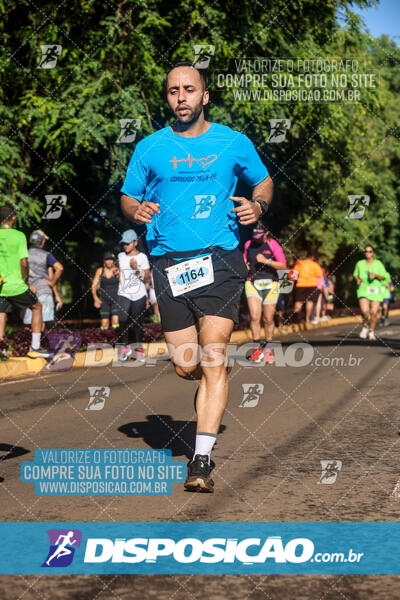 Vale Verde Run 2024