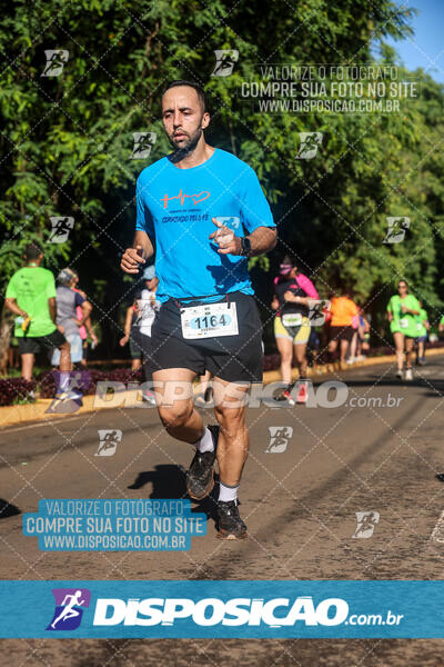 Vale Verde Run 2024