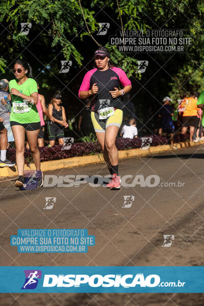 Vale Verde Run 2024