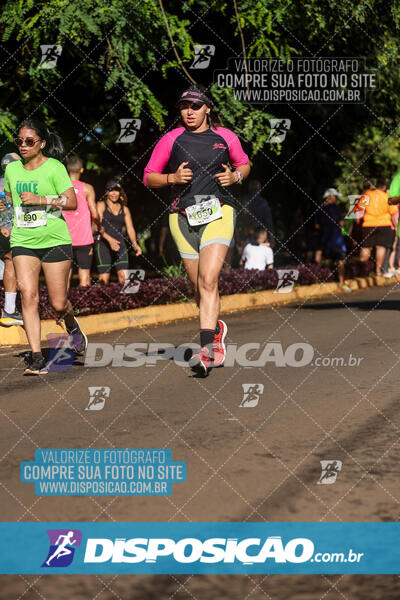 Vale Verde Run 2024