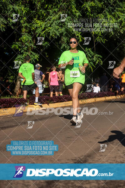 Vale Verde Run 2024