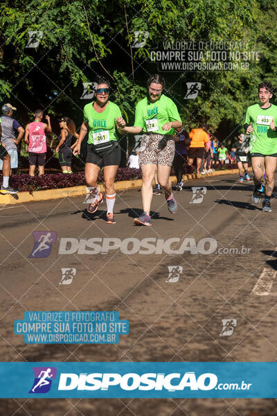 Vale Verde Run 2024