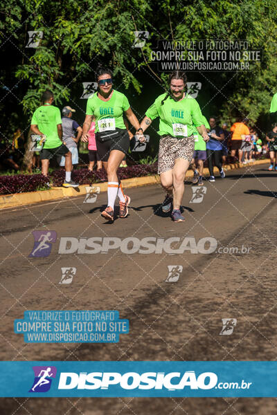 Vale Verde Run 2024