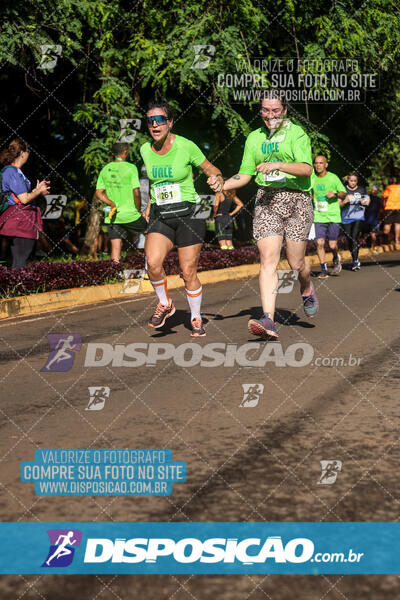 Vale Verde Run 2024