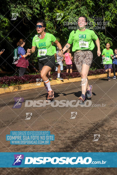 Vale Verde Run 2024