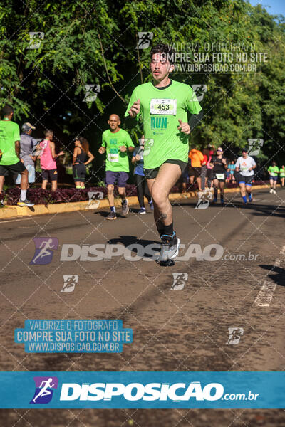 Vale Verde Run 2024