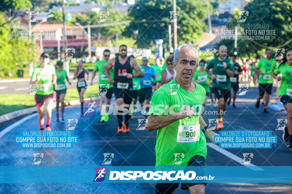 Vale Verde Run 2024