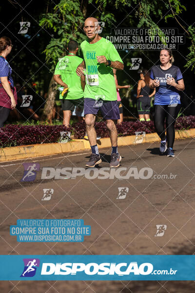 Vale Verde Run 2024