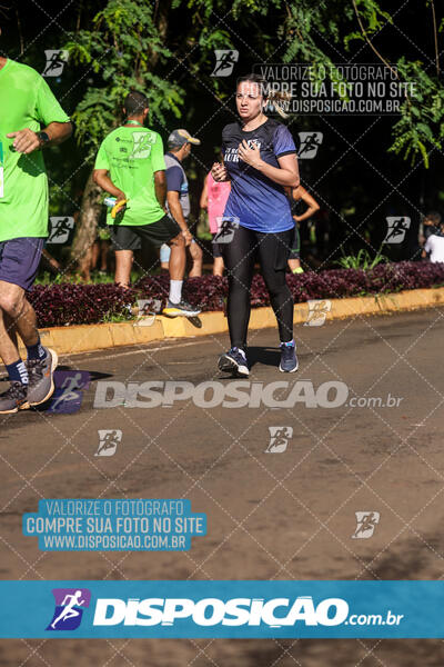 Vale Verde Run 2024