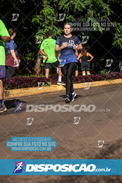 Vale Verde Run 2024