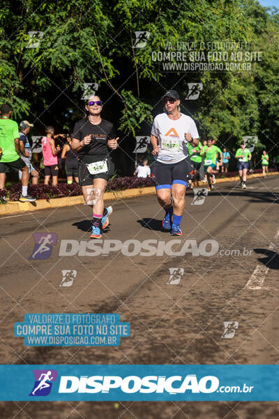 Vale Verde Run 2024