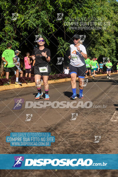 Vale Verde Run 2024