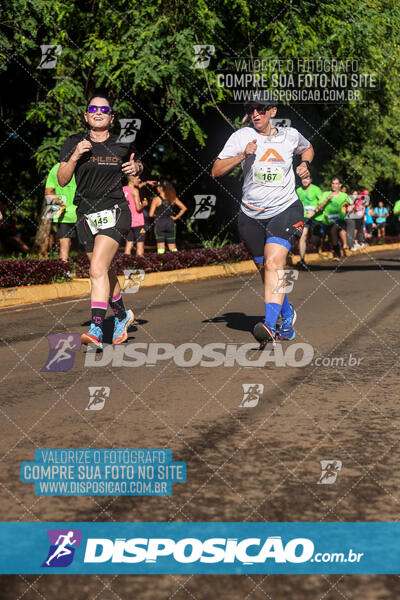 Vale Verde Run 2024