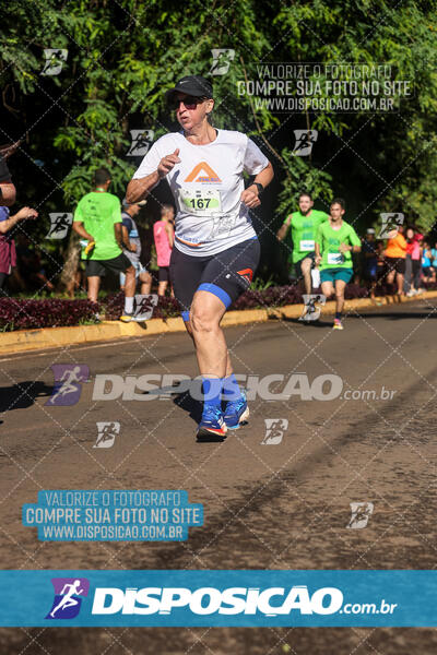 Vale Verde Run 2024