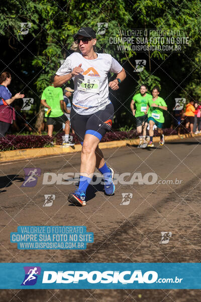 Vale Verde Run 2024