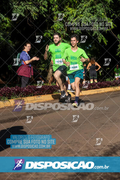 Vale Verde Run 2024