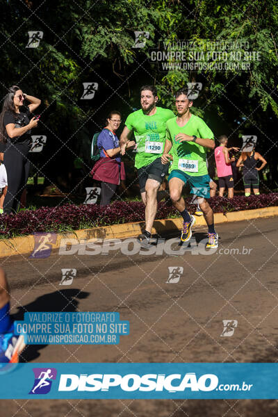 Vale Verde Run 2024