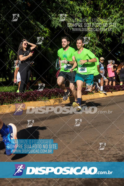 Vale Verde Run 2024