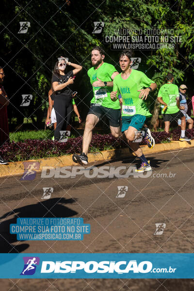 Vale Verde Run 2024