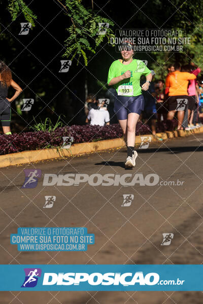 Vale Verde Run 2024