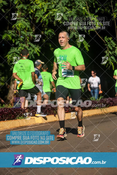 Vale Verde Run 2024