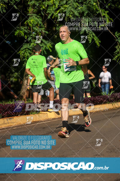 Vale Verde Run 2024