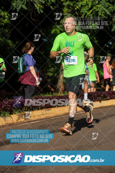 Vale Verde Run 2024