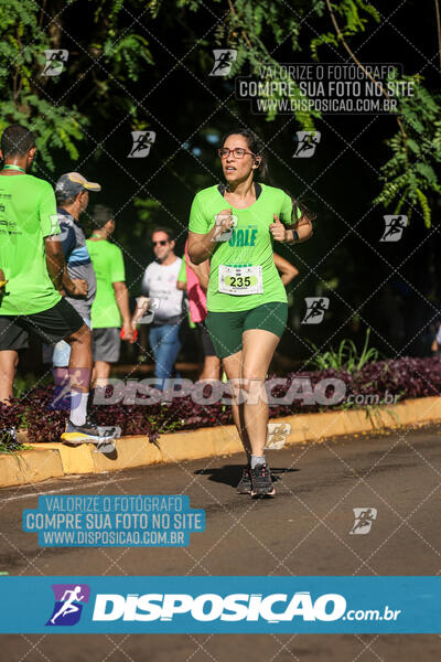 Vale Verde Run 2024