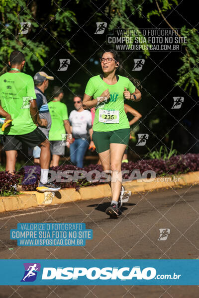 Vale Verde Run 2024