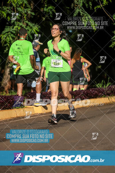 Vale Verde Run 2024