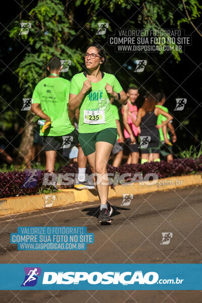 Vale Verde Run 2024