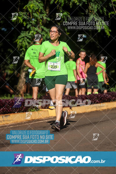 Vale Verde Run 2024