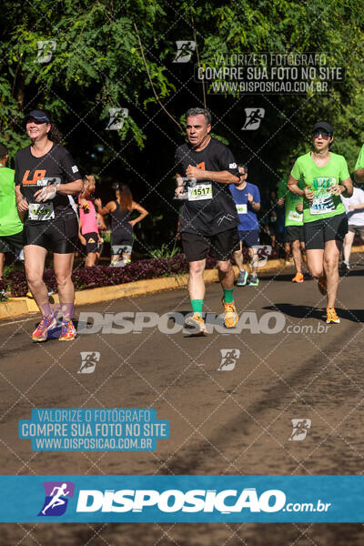 Vale Verde Run 2024