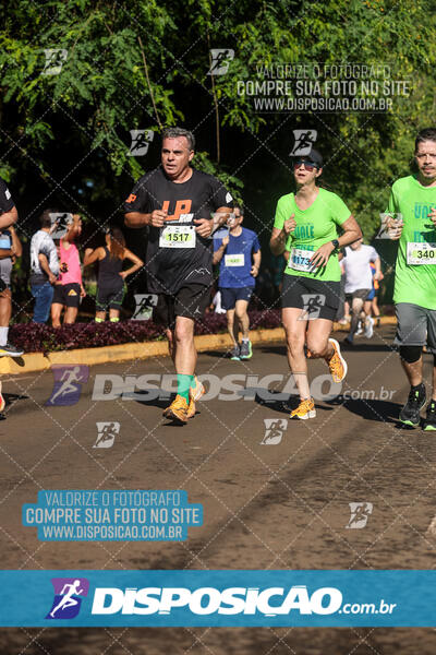 Vale Verde Run 2024