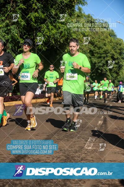 Vale Verde Run 2024