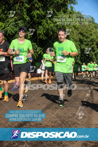 Vale Verde Run 2024