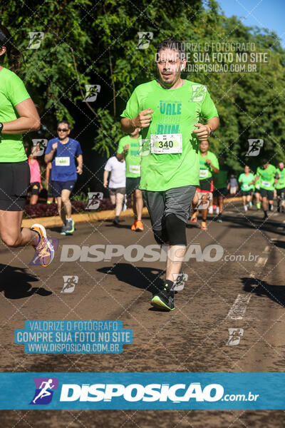 Vale Verde Run 2024