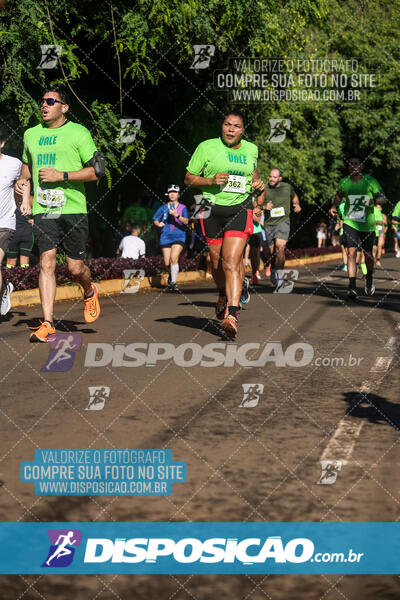 Vale Verde Run 2024