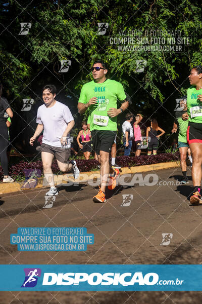 Vale Verde Run 2024