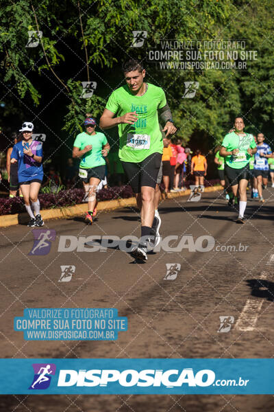 Vale Verde Run 2024