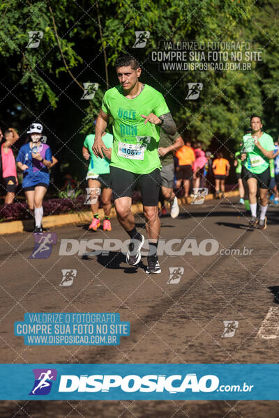 Vale Verde Run 2024