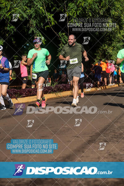 Vale Verde Run 2024