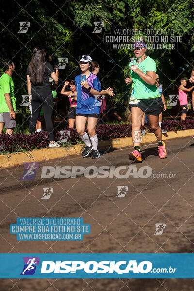 Vale Verde Run 2024