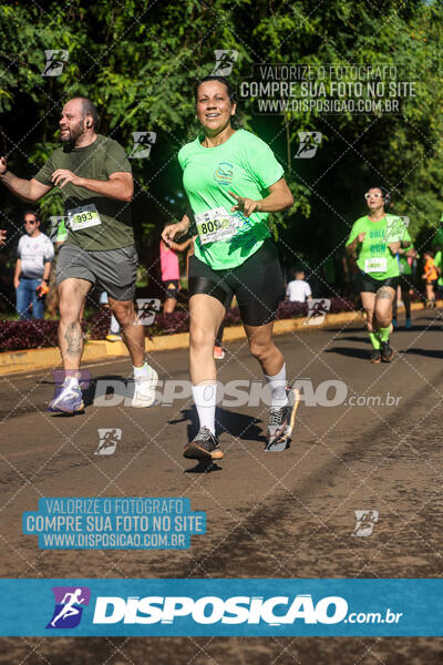 Vale Verde Run 2024