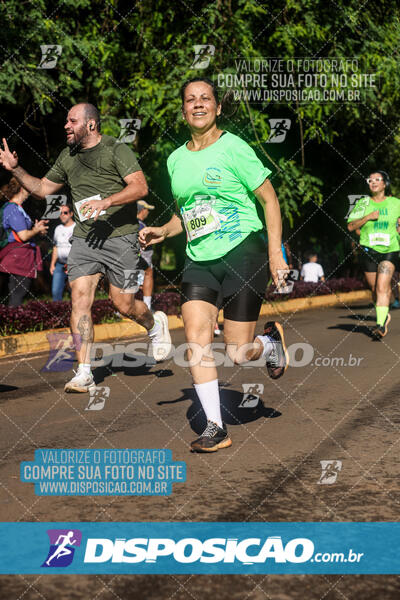 Vale Verde Run 2024