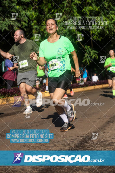 Vale Verde Run 2024