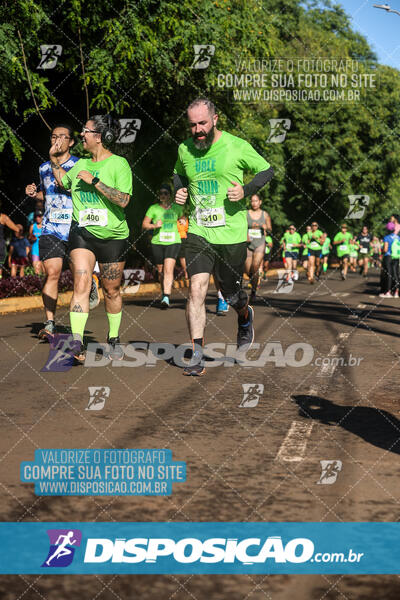 Vale Verde Run 2024